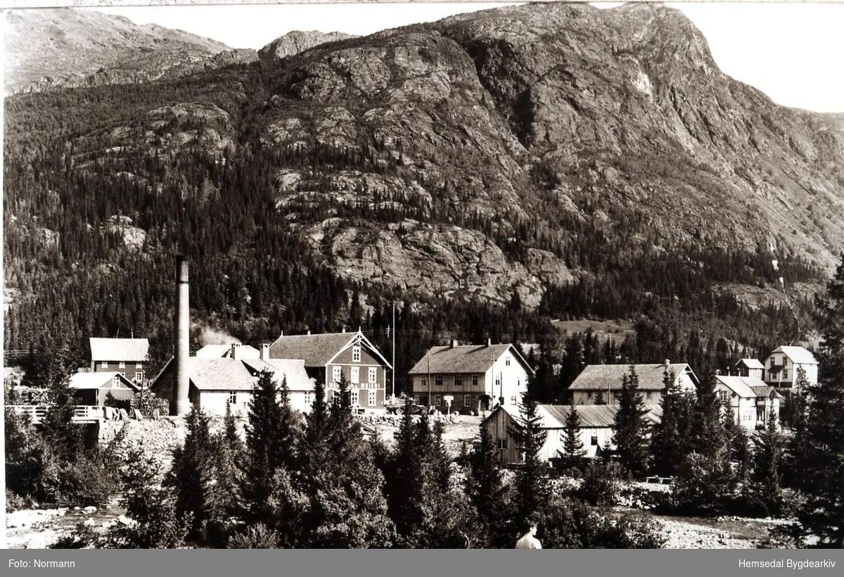 Trøym sentrum i Hemsedal, truleg tidleg 1930-tal.  Meieriet ligg framleis på oppsida av riksvegen der Sparebank1-bygget i dag ligg (2013)