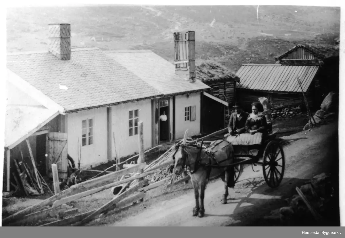 Biletet er frå Søre Venåsbakko i Hemsedal.
I trilla Embrik Anfinhaug (1861-1946) og kona Ingebjørg O. Hulbak (1858 - ).
Desse budde ei tid i Bakko. Ingebjørg var enkje etter Andres Venåsbakko (søre). Dei selde garden i 1918 til Ingvar Øyn. Rimelegvis er dette biletet frå ei vitjing seinare slik at kona som står i døra, kan vera Olaug Øyn, kona til Ingvar Øyn.