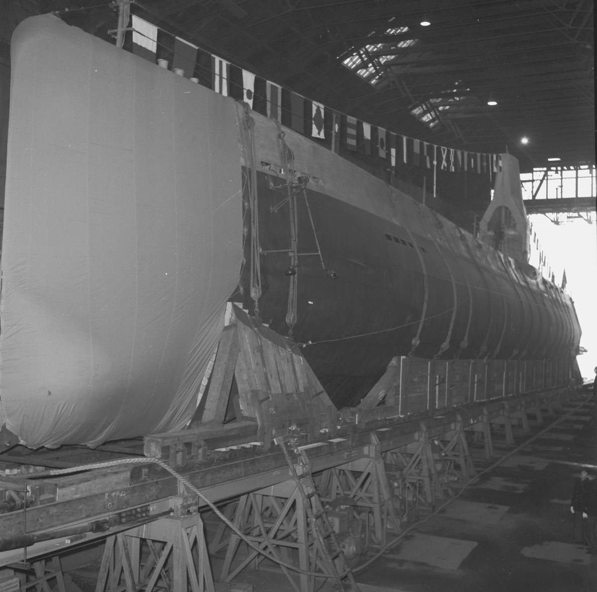 V15254