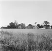 Farhult, Skåne
Exteriör

Svensk arkitektur: kyrkor, herrgårdar med mera fotograferade av Arkitekturminnesföreningen 1908-23.