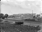 Bröderna Hedlund.
Exteriör.