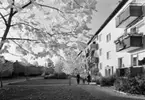Flerbostadshus, Västertorp
Exteriör