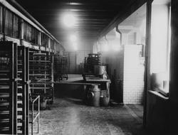 Rader med ställningar i bageriet