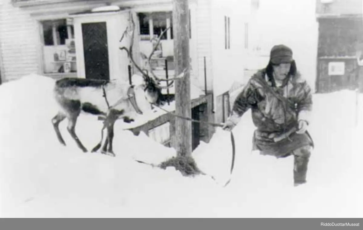 Iver Eira med rein, ved Pettersons Landhandel.