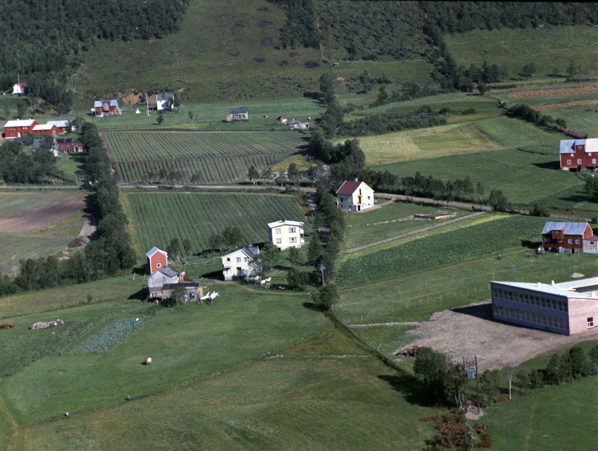 Flyfoto fra Ervik.
