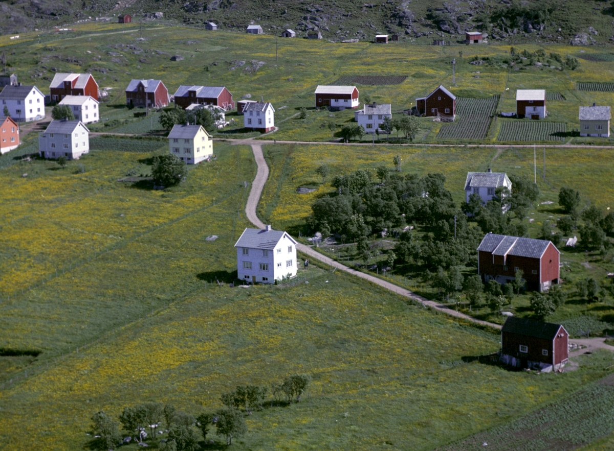 Flyfoto av bebyggelse på Grøtavær. Sommerfjøser i bakgrunnen.