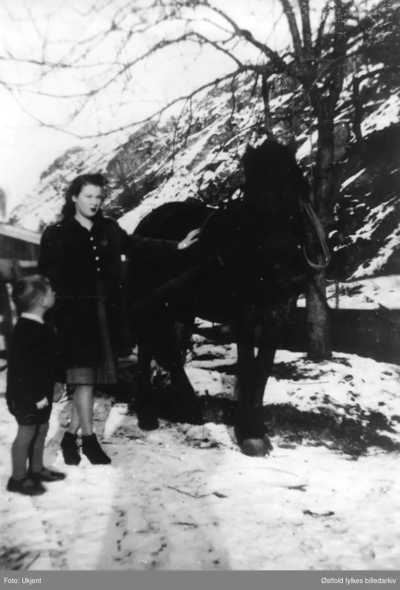 hest, kvinne, gutt, vinter, teddyskinnskåpe, snø,