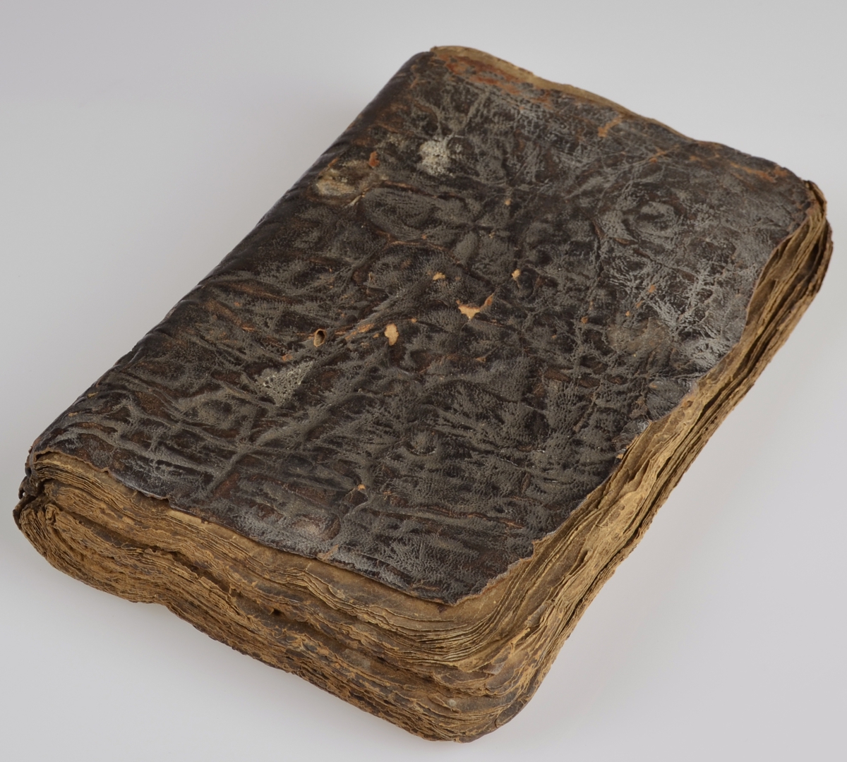 Handskriven skinnindbunden bok.