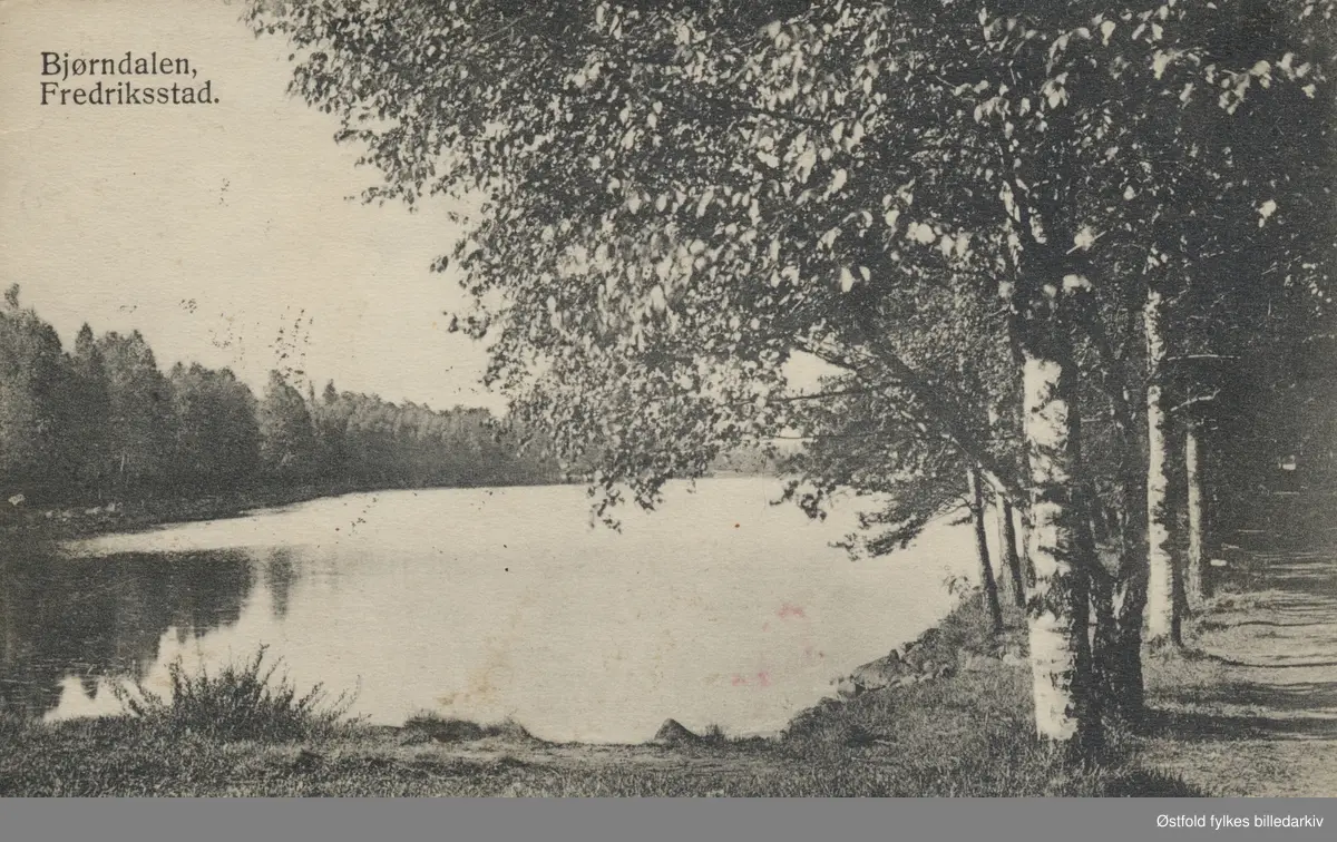 Bjørndalen med dam, friluftsområde i Fredrikstad. Drikkevann.

Bjørndalsdammene, tre kunstige vannbasseng i Bjørndalen, bygd i årene 1872-88 for å sikre byens vannforsyning. Fra 1908 ble vann overført til midtre (2.) dam fra Tvetervannet i Skjeberg, slik at dammenes funksjon først og fremst ble å tjene som trykkbasseng. Dammene har  ikke lenger noen tilknytning til byens vannverk.

Del av Fredrikstadmarka.