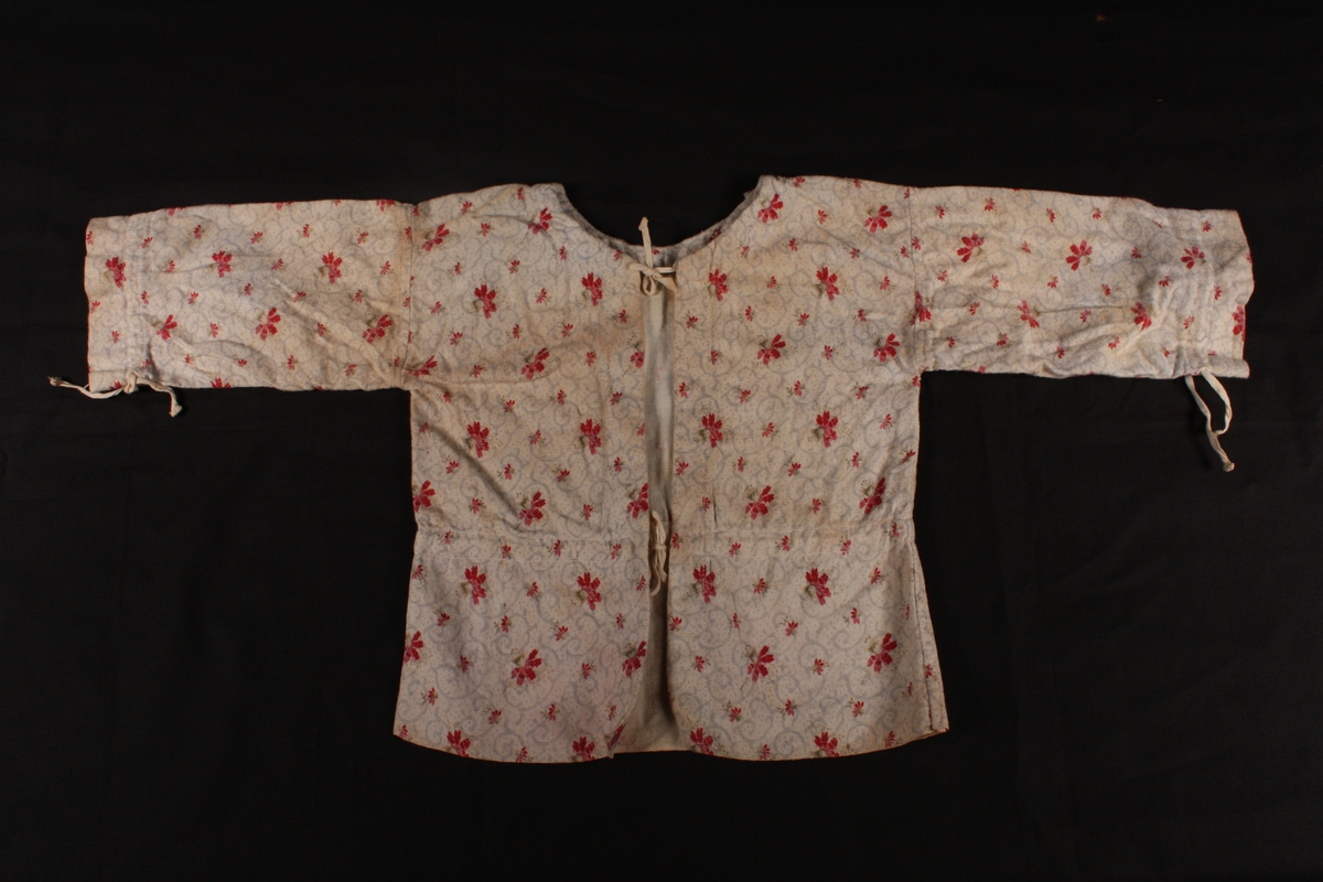 Blomster med raude kronblad, lyseblå halvsirklar.