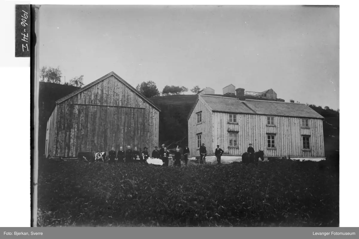Bilde av gården Ødegård (tidligere Rokne lille) på Sætersmyra. I bakgrunn gården Rokne. Bildet er trolig tatt på Hanna Haldosdatter Rokne sin 55 årsdag 17. juli 1900.