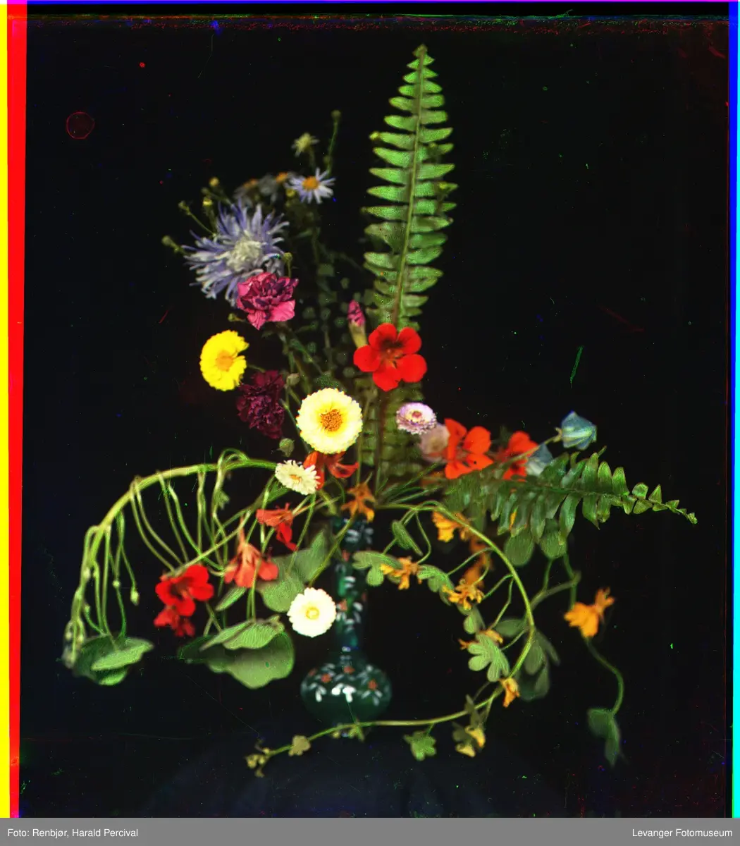 Stilleben av blomsterbukett med hageblomster i vase.
