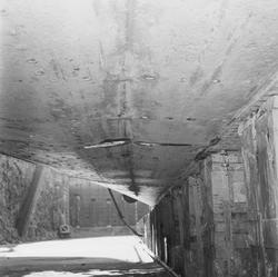 Prins Carl bottenskador