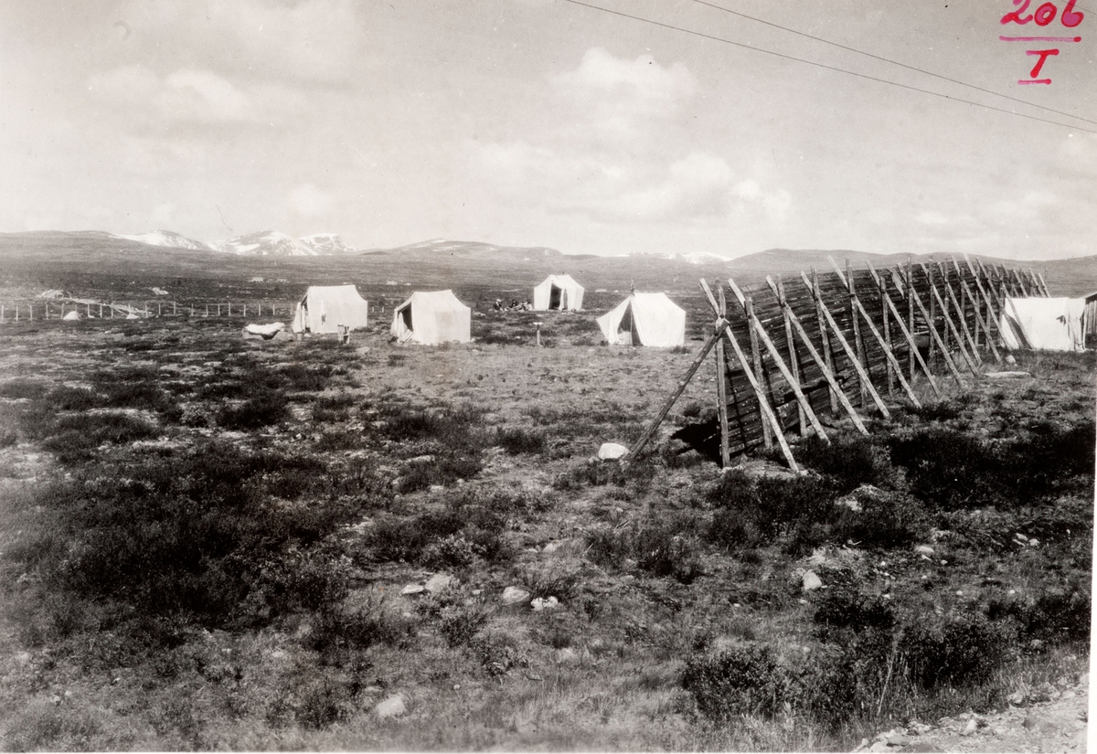 GEODESI. Basismåling: teltleir ved Nyseterbarakken.