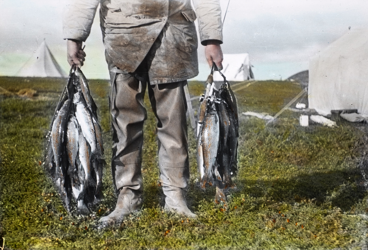 Fra foredragsrekken "Landmålerlivet i Finnmark"  v/Axel Printz : En god ørretfangst fra Gurtejokka.( X-4. Laksefjordvidda 1939 ).