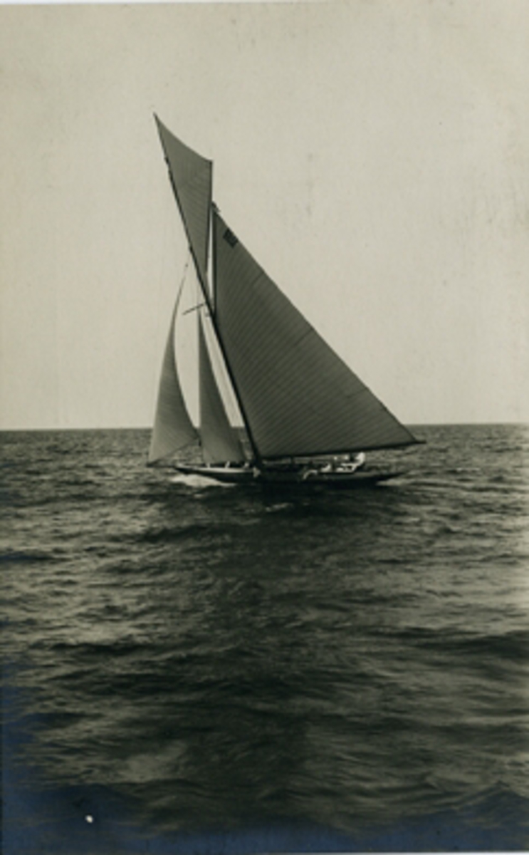 Olympiska Spelens i Stockholm 1912 officiella Brefkort.
Granbergs Konstindustri-Aktiebolags Förlag, Stockholm.
N:r 292. "Erna-Signe", Sverige.