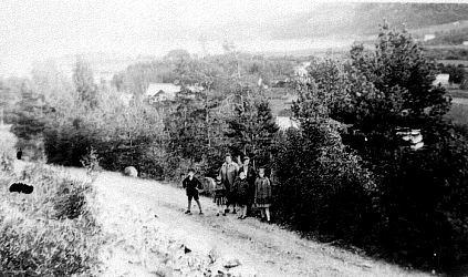 En samling bilder fra Telemark o. a. st. Bl. a. Seljord dyrsku, telemarksbåtene, mennesker, turistliv, Gråtenmoen ekserserplass, Dyrsku Dalen 1906 m. v.