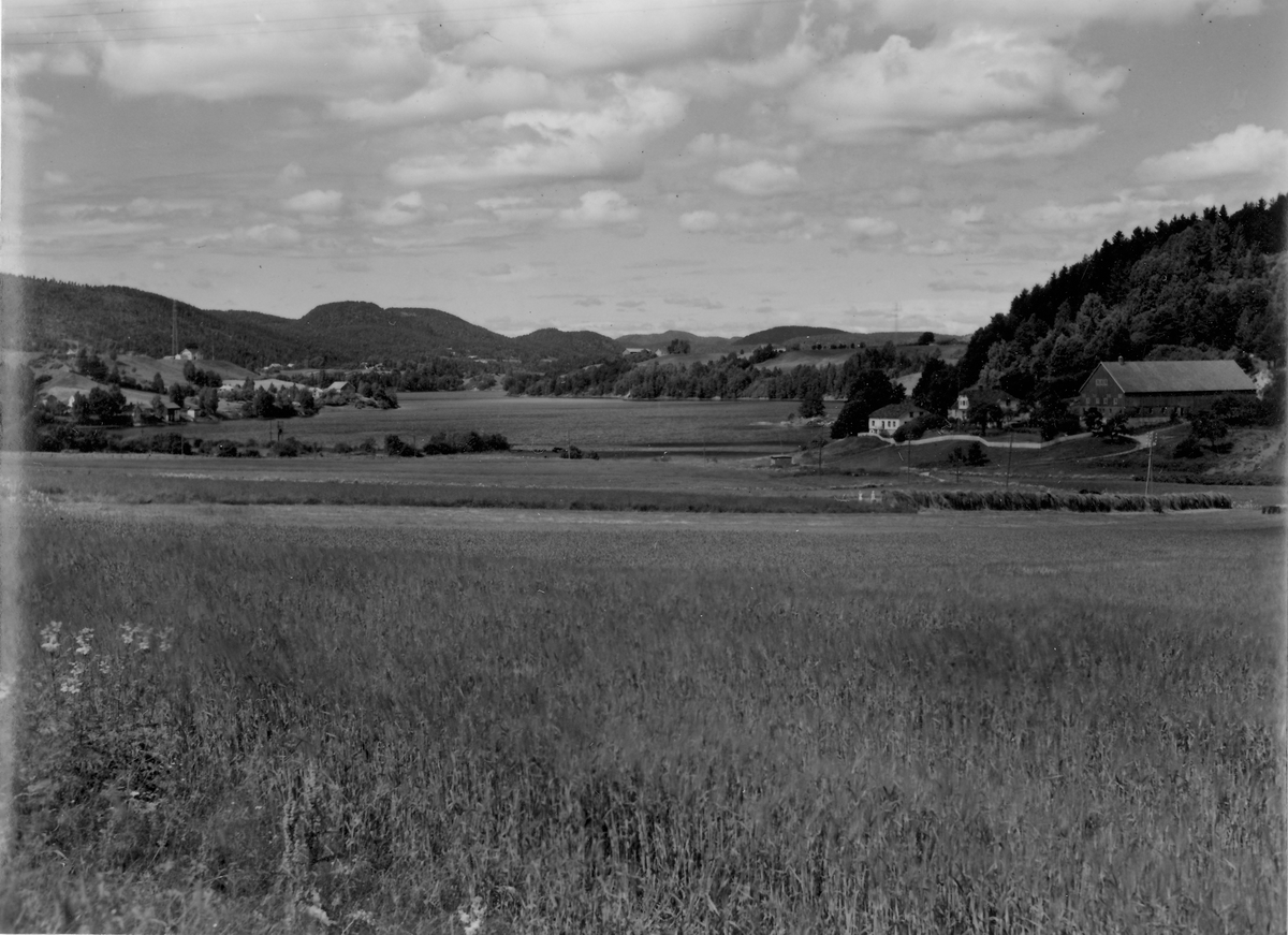 Fjærekilen, Solum, Skien.