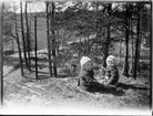 Vårbild i skogen (Trekanten): Gunnar och Bengt-Ola.