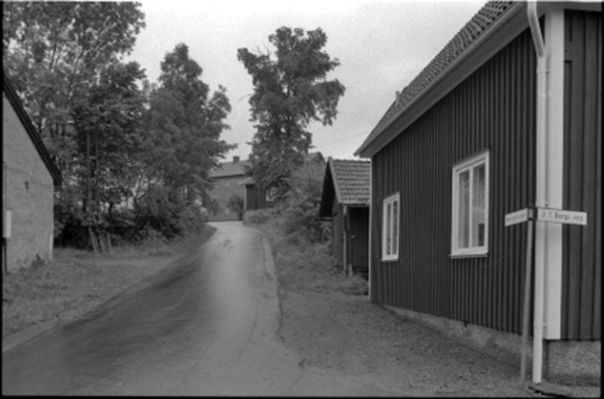 Landskapsbild  Tollered  Skallsjö