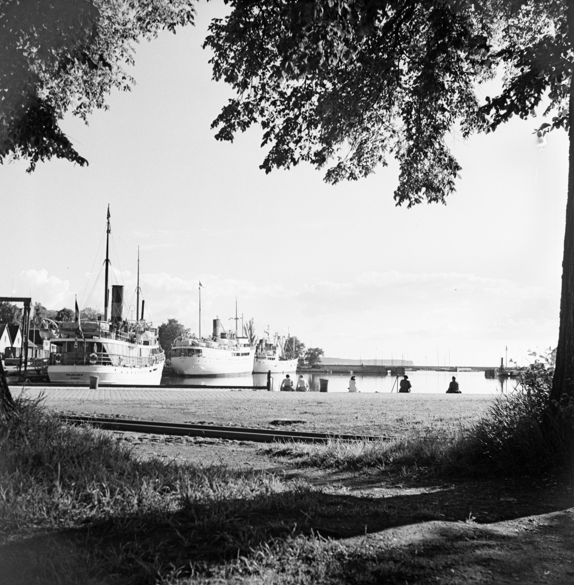 Fartyg i Visby hamn, närmast Gotlandsbolagets passagerarångare S/S THJELVAR.