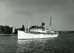 Foto i juni 1953