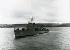 Jagaren NORRKÖPING (J 10).