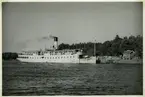 Foto sommaren 1950.