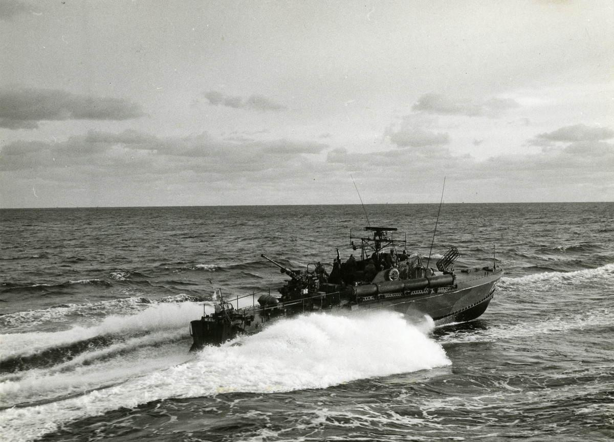 T - 50 typ.