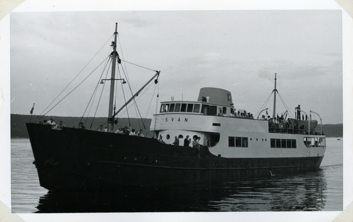 Fo221002