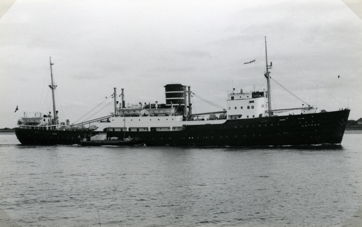 Fartyget passerar Hook of Holland i augusti 1956.