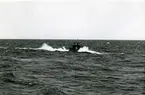 Kustflottans ubåten Sjölejonet gör en övningsdykning, juni 1941.