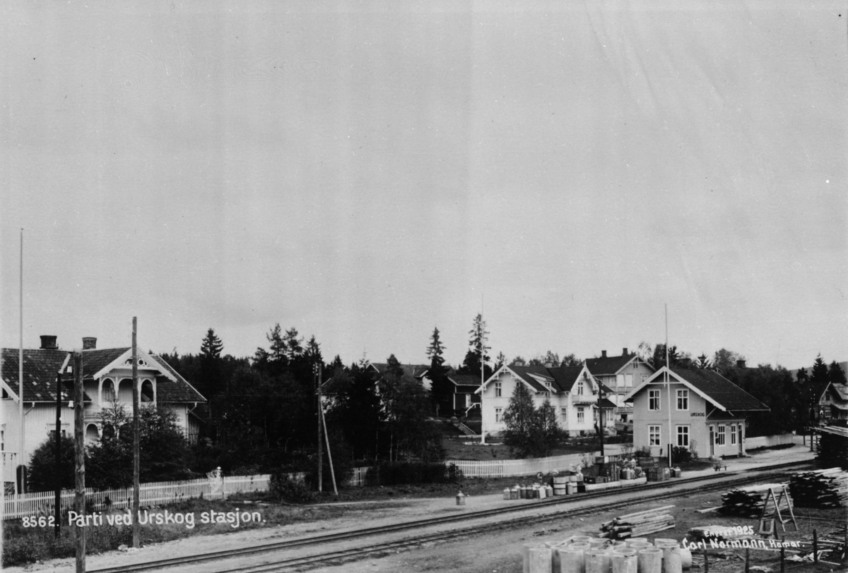 Oversiktsbilde fra Urskog stasjon