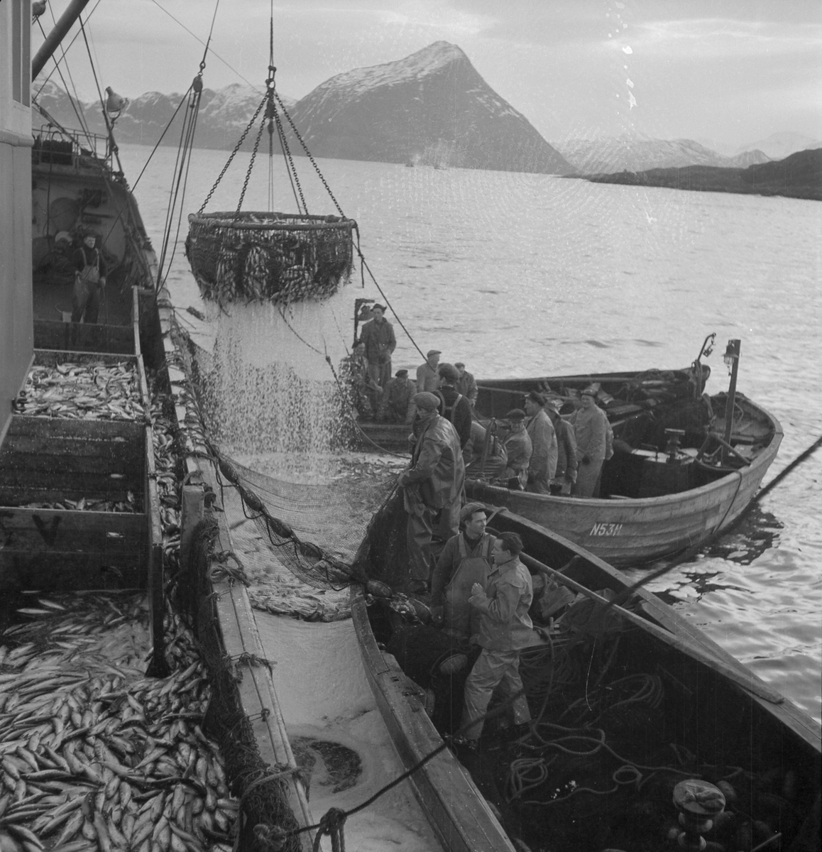 Storsildfiske på vestlandet