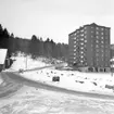 Nybbyggen på Tureborg 1960