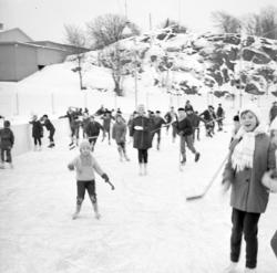 Skridskoåkning vid Parkskolan