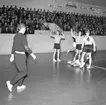 Handbollsmatch