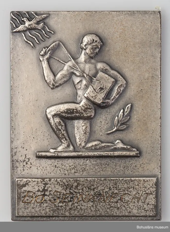 24 st medaljer/plaketter för pris i olika fototävlingar till Bo Seinknecht;  Mästartävlan, Riksfototävlingen, Uddevalla Fotoklubb, Västsvenska  mellan åren 1941 och 1959 .