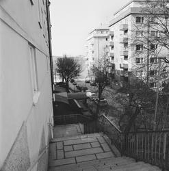 Stockholm längs vattenlinjen
Stockholmsresan