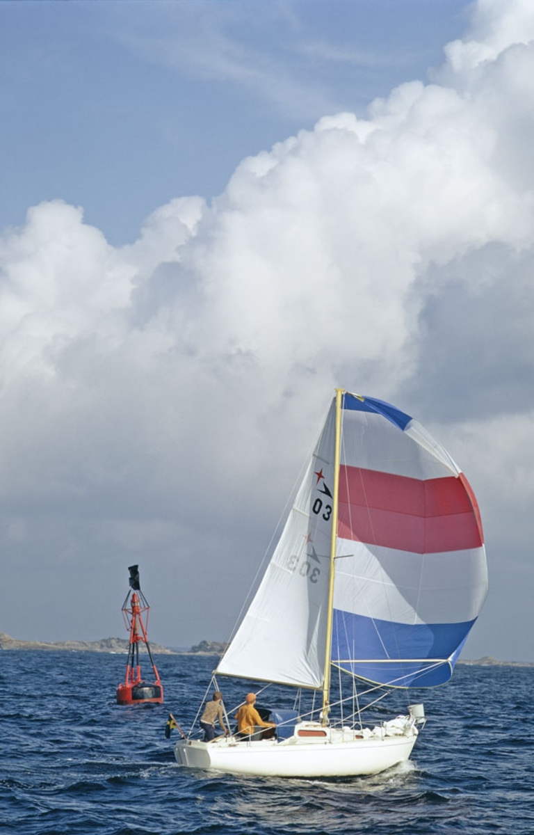 En Albin Viggen seglar för spinnaker.