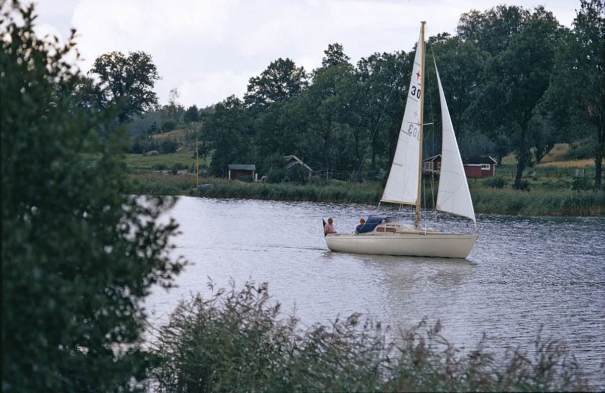 Albin Viggen i en Vänervik.