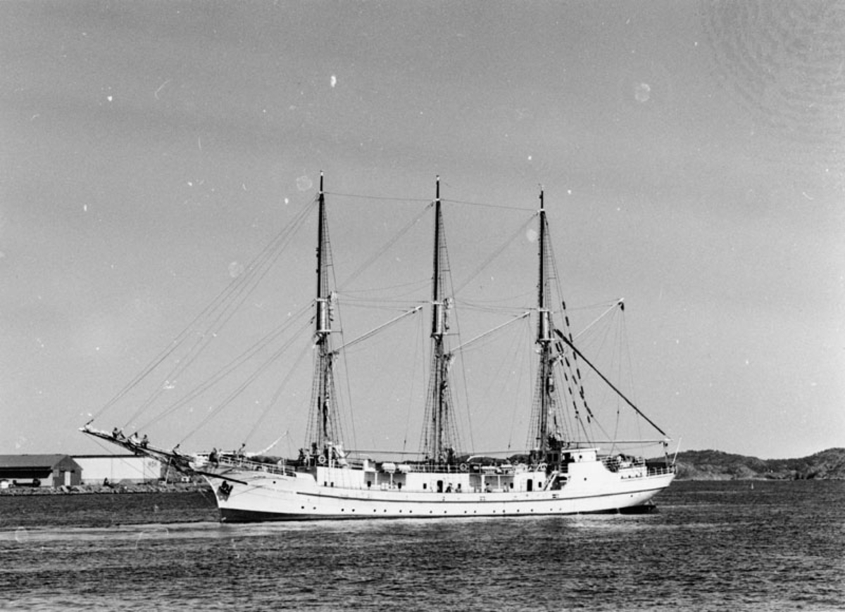Fo148481AF