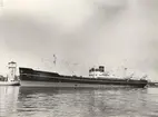 M/S OLAV BAKKE. Foto från Köpenhamn 1959.