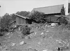 Svinstia och fähus - nu på friluftsmuseet Disagården - på ursprunglig plats, Lilla Bultebo, Tierps socken, Uppland 1930