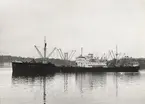 Lastmotorfartyget BIRGIT av Göteborg.