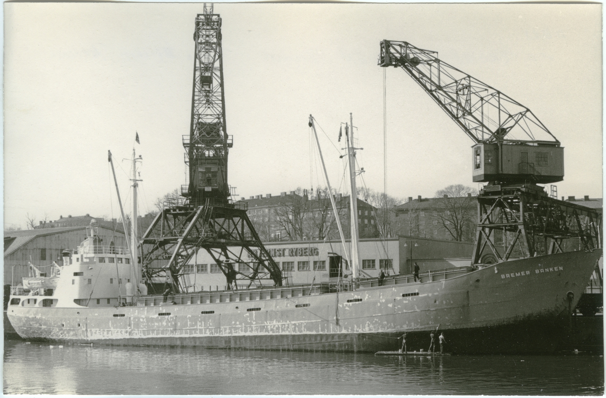 Fo207817