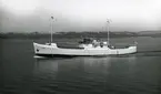 Ägare:/1948-68/: Schellen Scheepvaart & Bevrachting N.V. Hemort: Rotterdam.