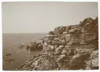 Stora Karlsö. Biotop för sillgrissla (Uria troile). Fotograferad 6 juni 1918.