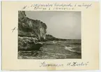 Stora Karlsö. Sillgrisslor häckande i mängd. Tördar (tordmular) i skrevorna.