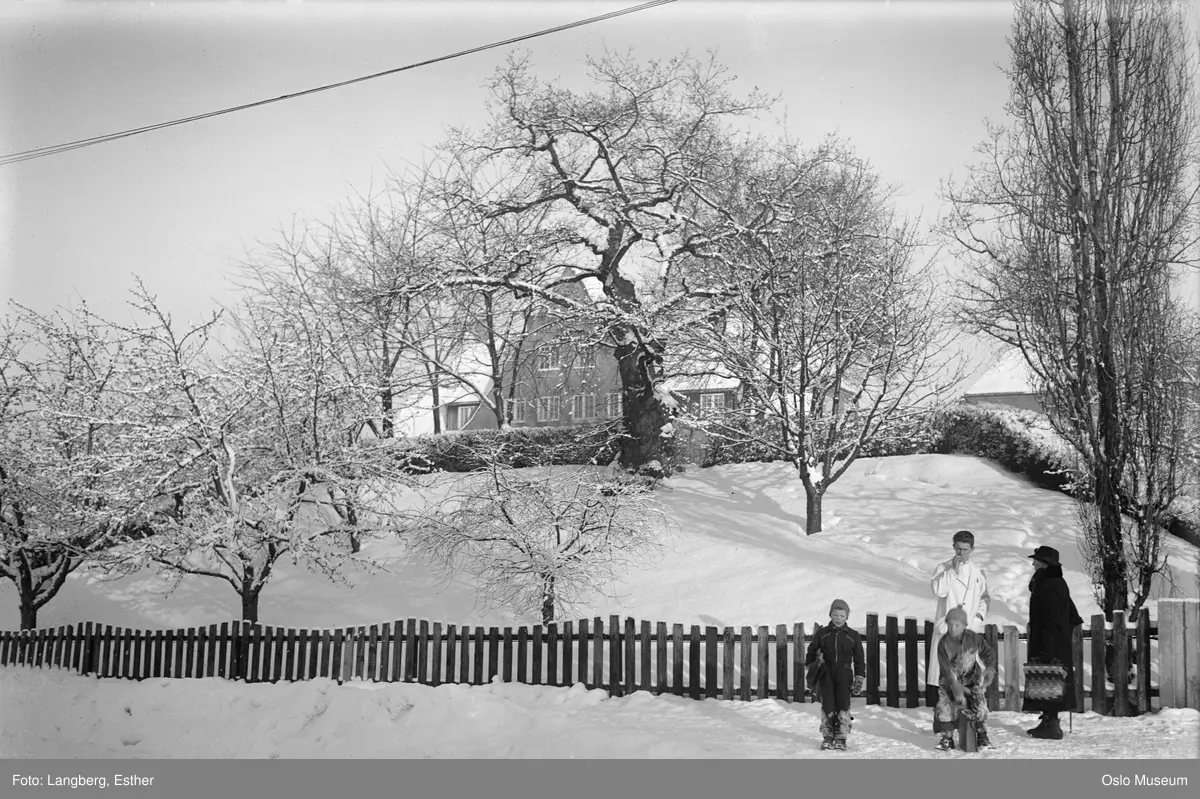 bolighus, hage, fredet tre, mann, kvinne, barn, snø